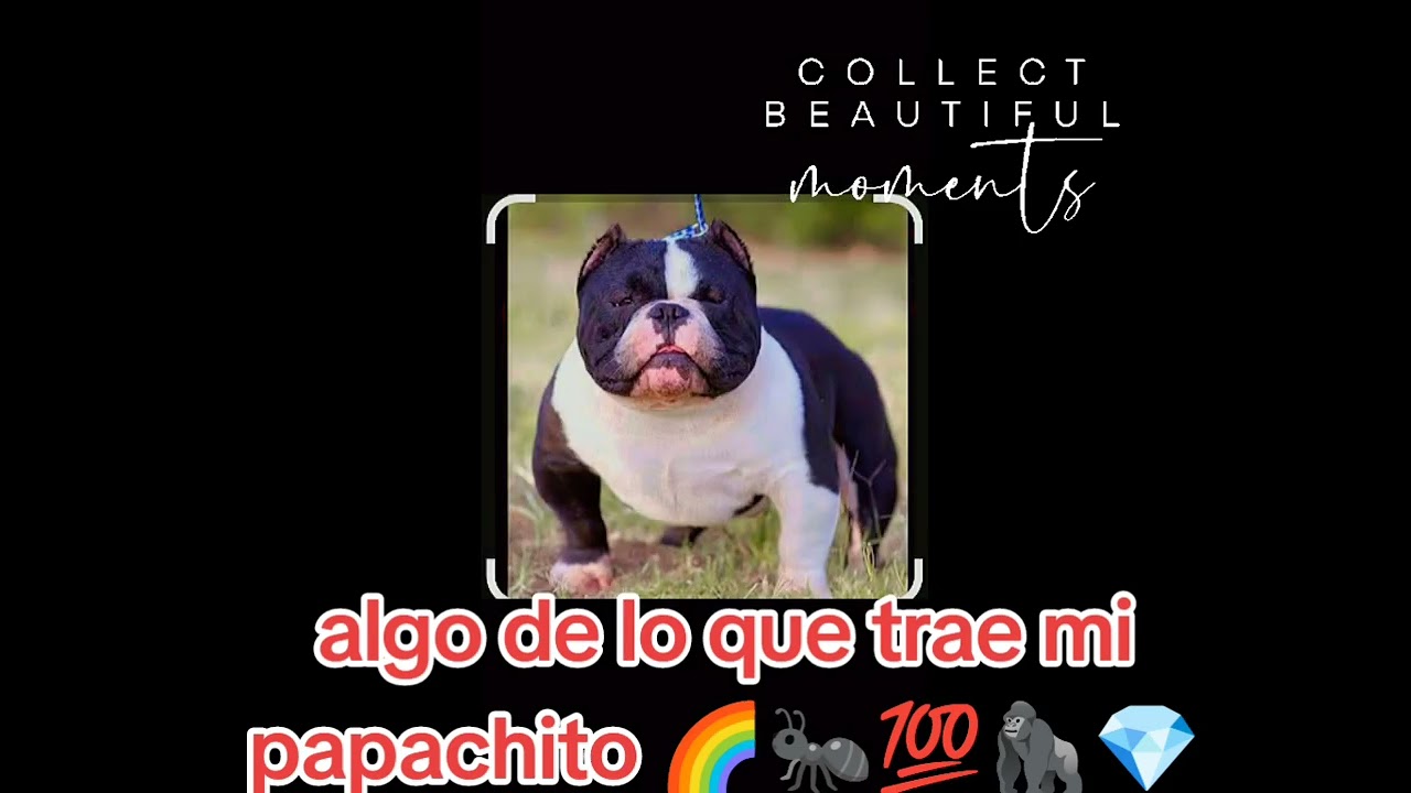 8 de marzo de 2026