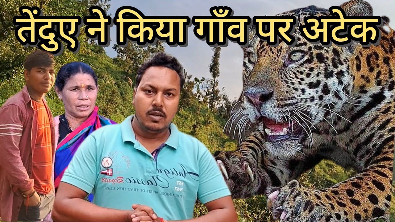 Village Under Leopard Attack | Forest Fear | Jim Corbett National Park | Wildlife | Wild Animals 