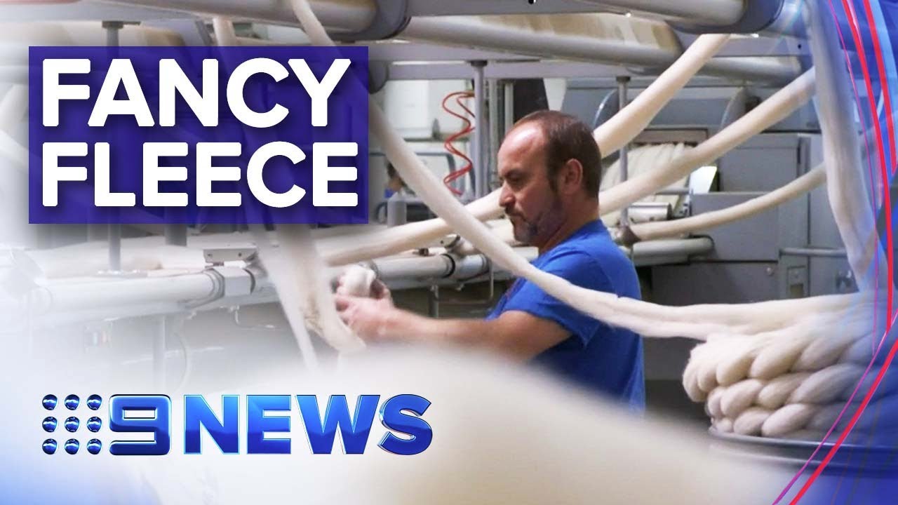 Business brings merino wool to international fashion houses | Nine News Australia