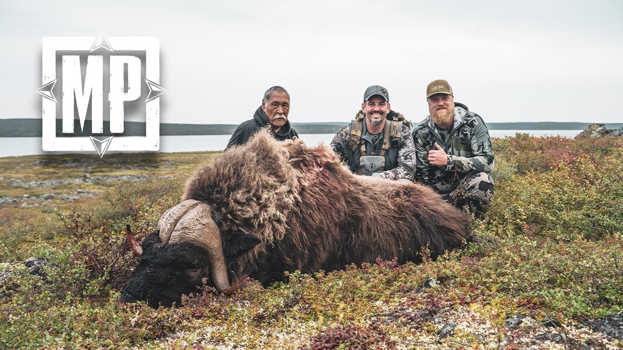 Muzzleloader Hunting Central Barren Ground Caribou and Muskox | Mark V. Peterson Hunting