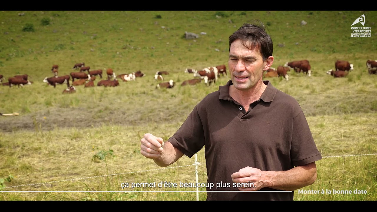2021_Gestion de l'herbe  alpage