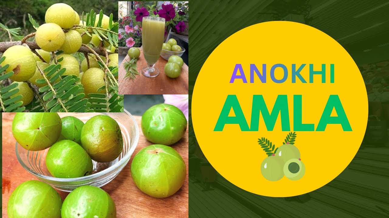 Benefits of AMLA. 
