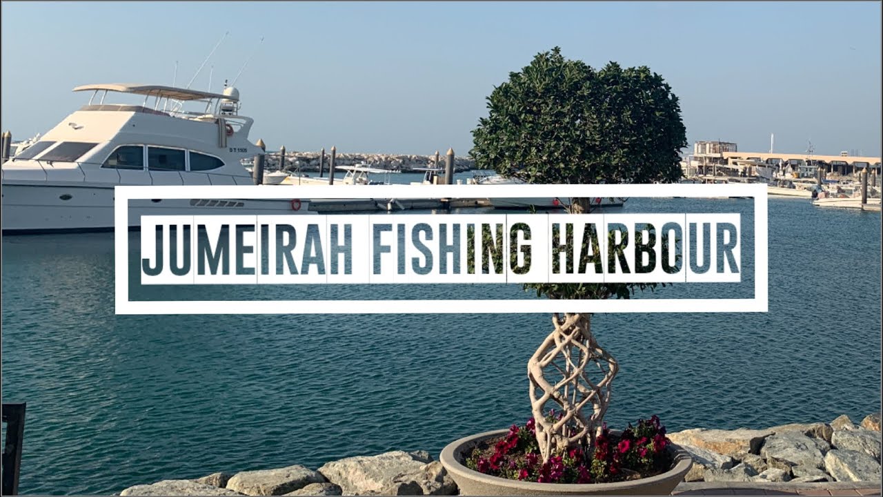 Jumeirah Fishing Harbour - Hidden gem of Dubai