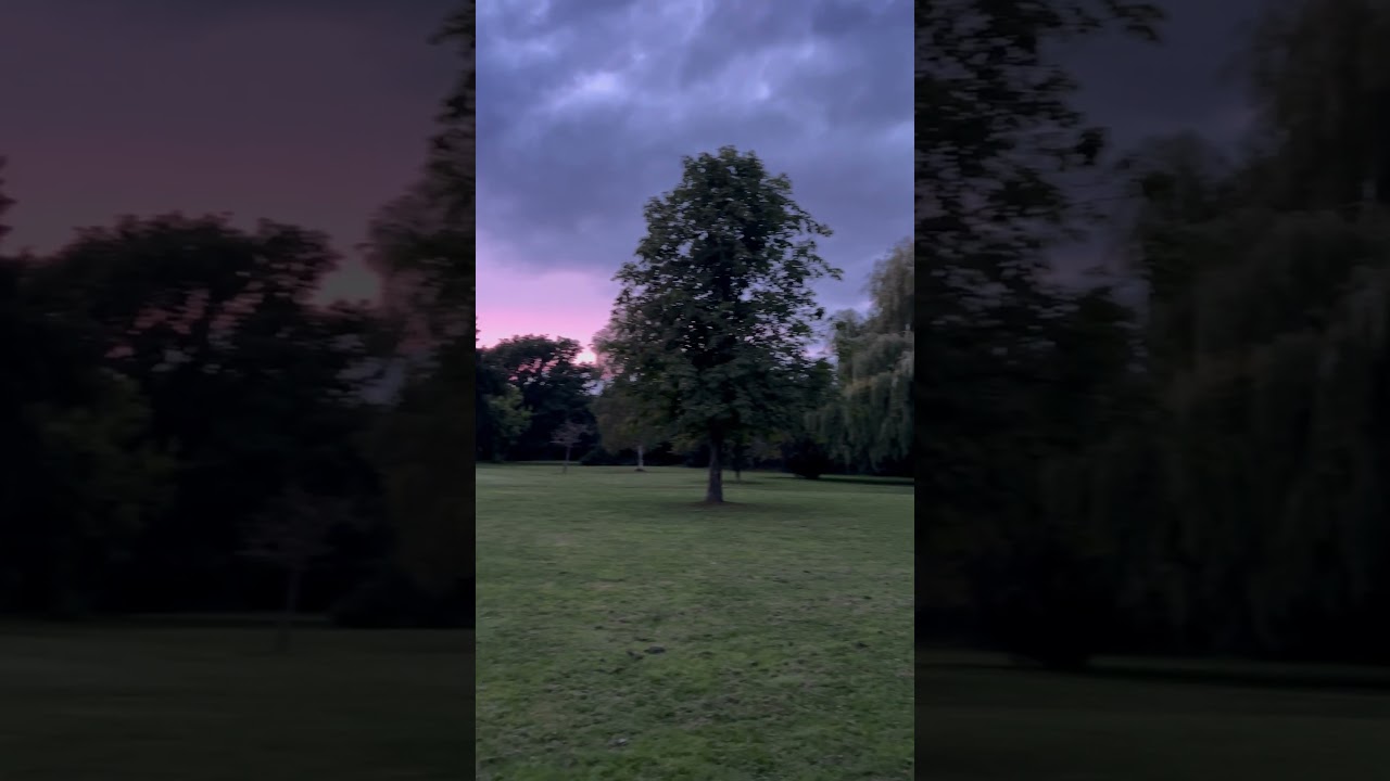 Kingsbury, London🌅 