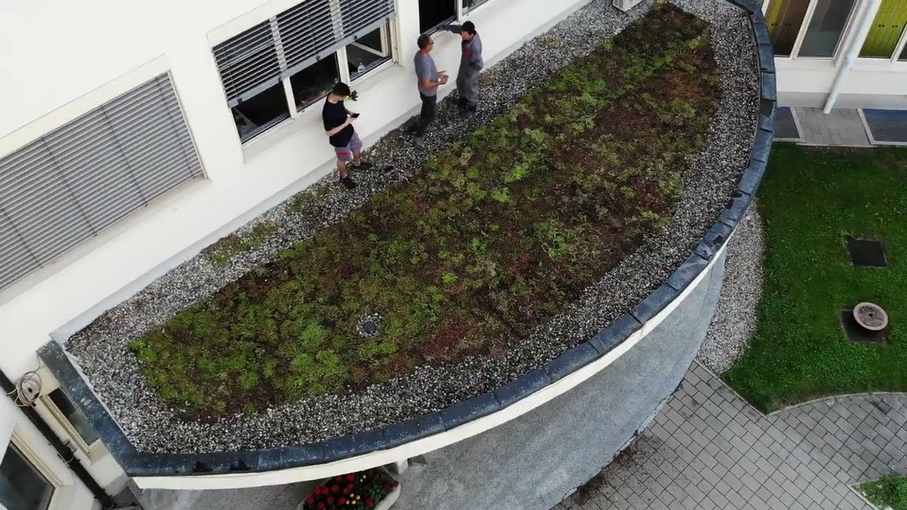Postavitev ekstenzivne zelene strehe v BC Naklo