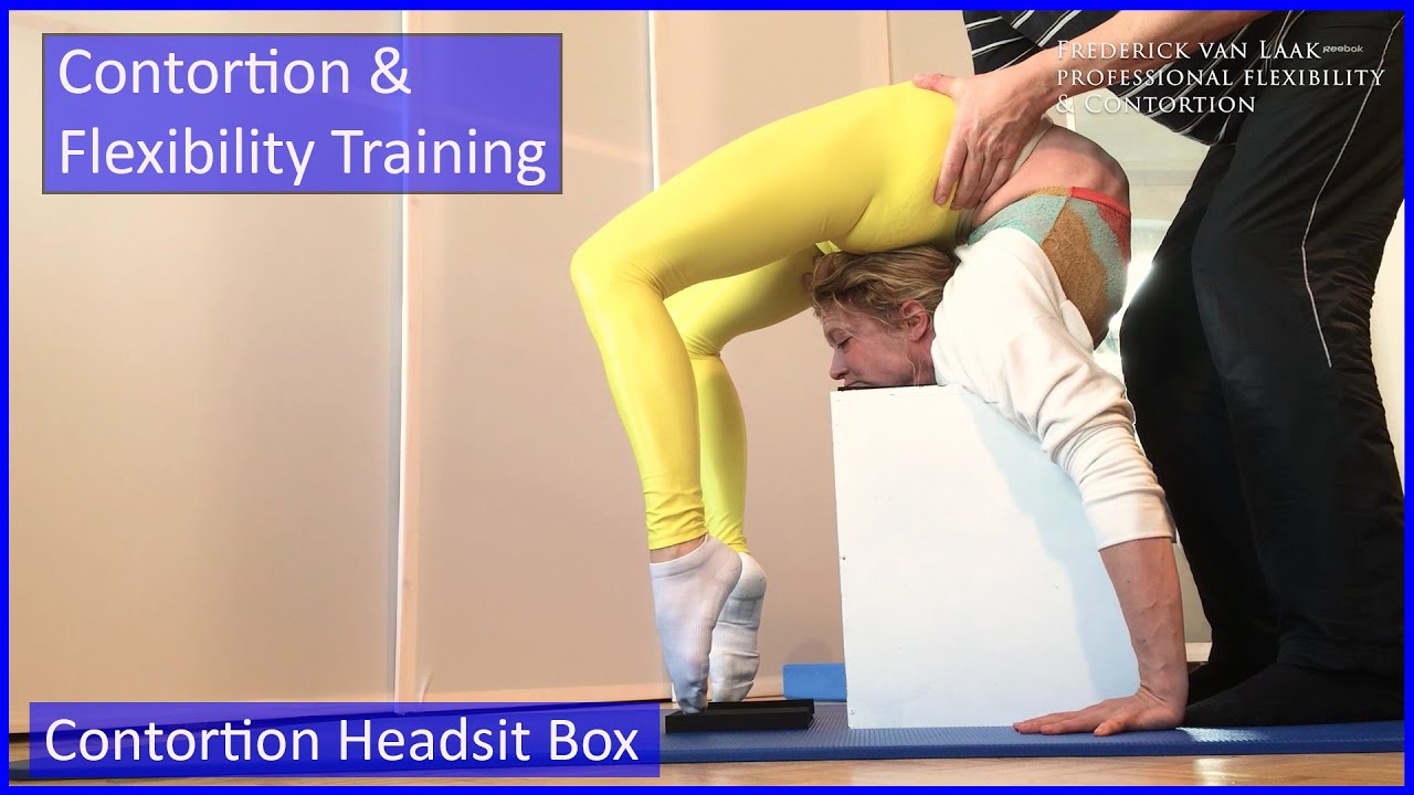 50 Flexyart Contortion Training:  Headsit on the Box - Also for Yoga, Pole, Ballet, Dance People