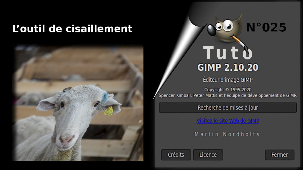 Tuto Gimp 2 10 20 pour débutant – 025 - L’outil de cisaillement