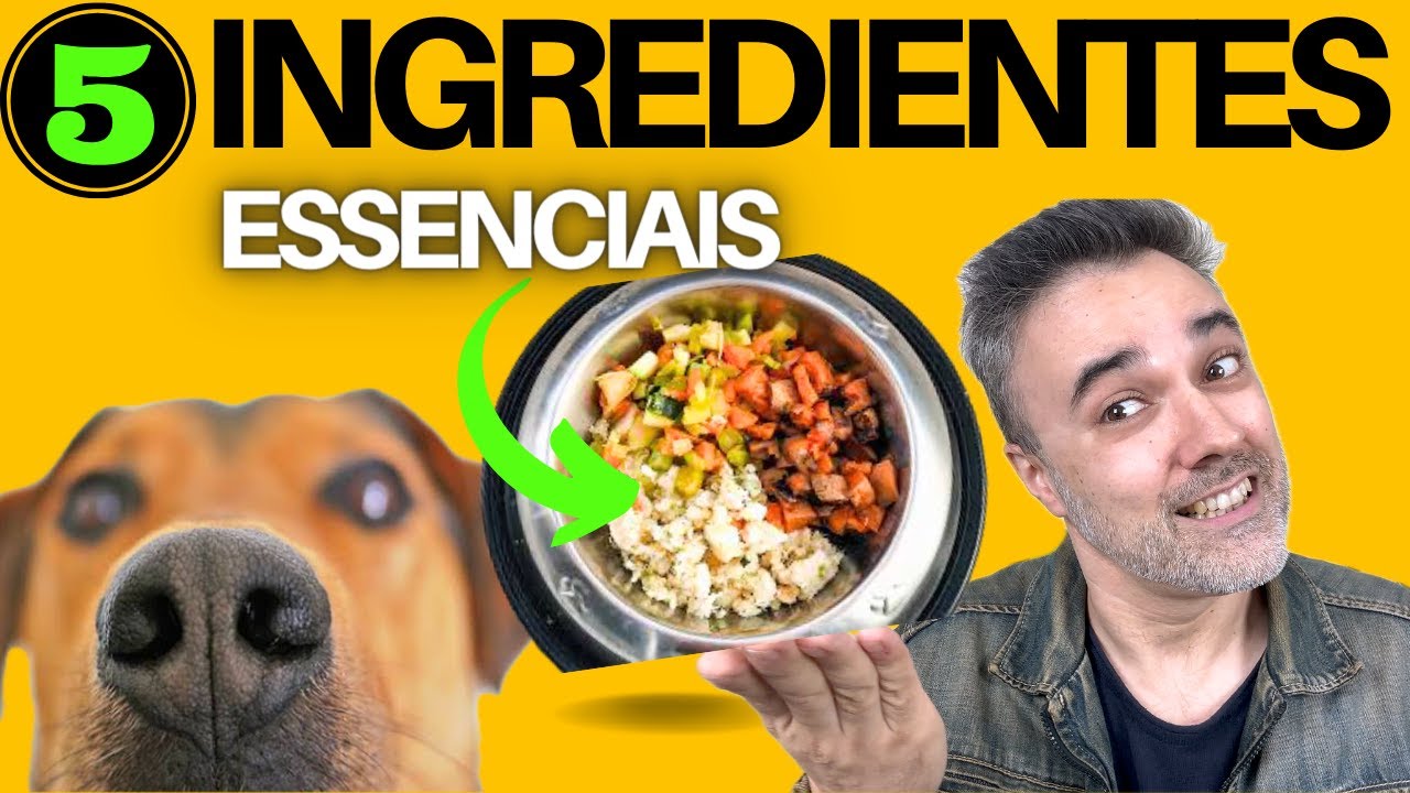 5 INGREDIENTES ESSENCIAIS para ✅COMIDA CASEIRA do teu cachorro!