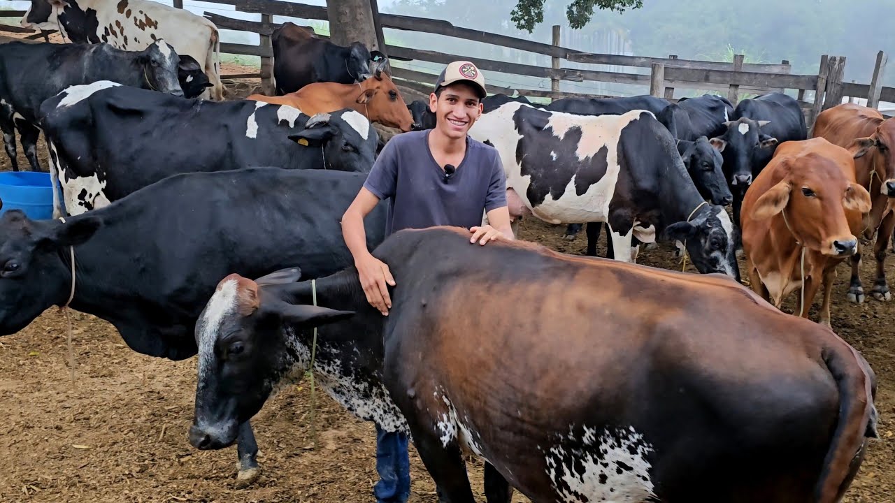 CRIANÇA NA ROÇA, HOMEM NA LIDA: A HISTÓRIA DO PEDRO VAQUEIRO