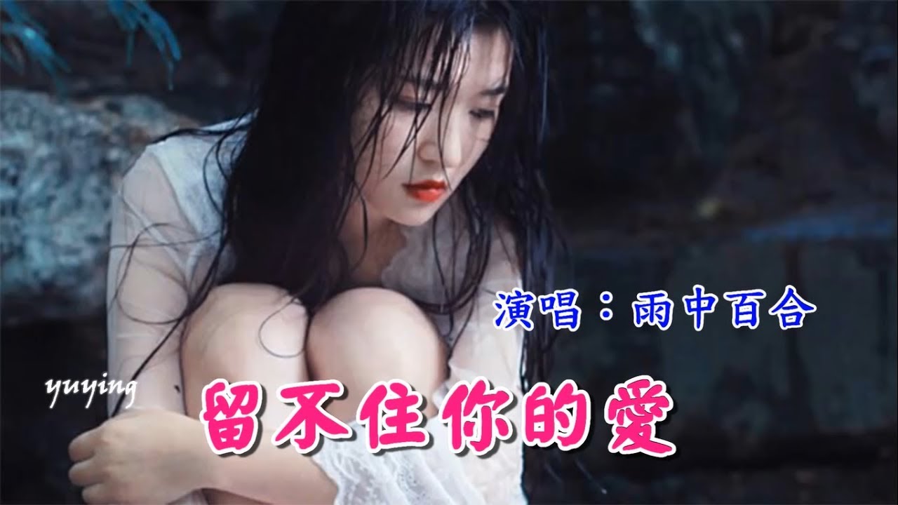 留不住你的愛　雨中百合（好聽推薦）
