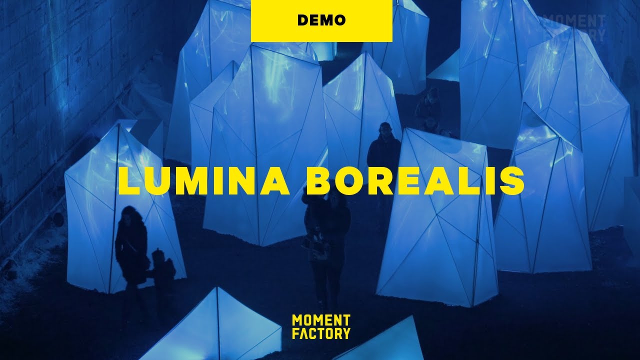 Lumina Borealis | an enchanted night walk where winter’s beauty shines