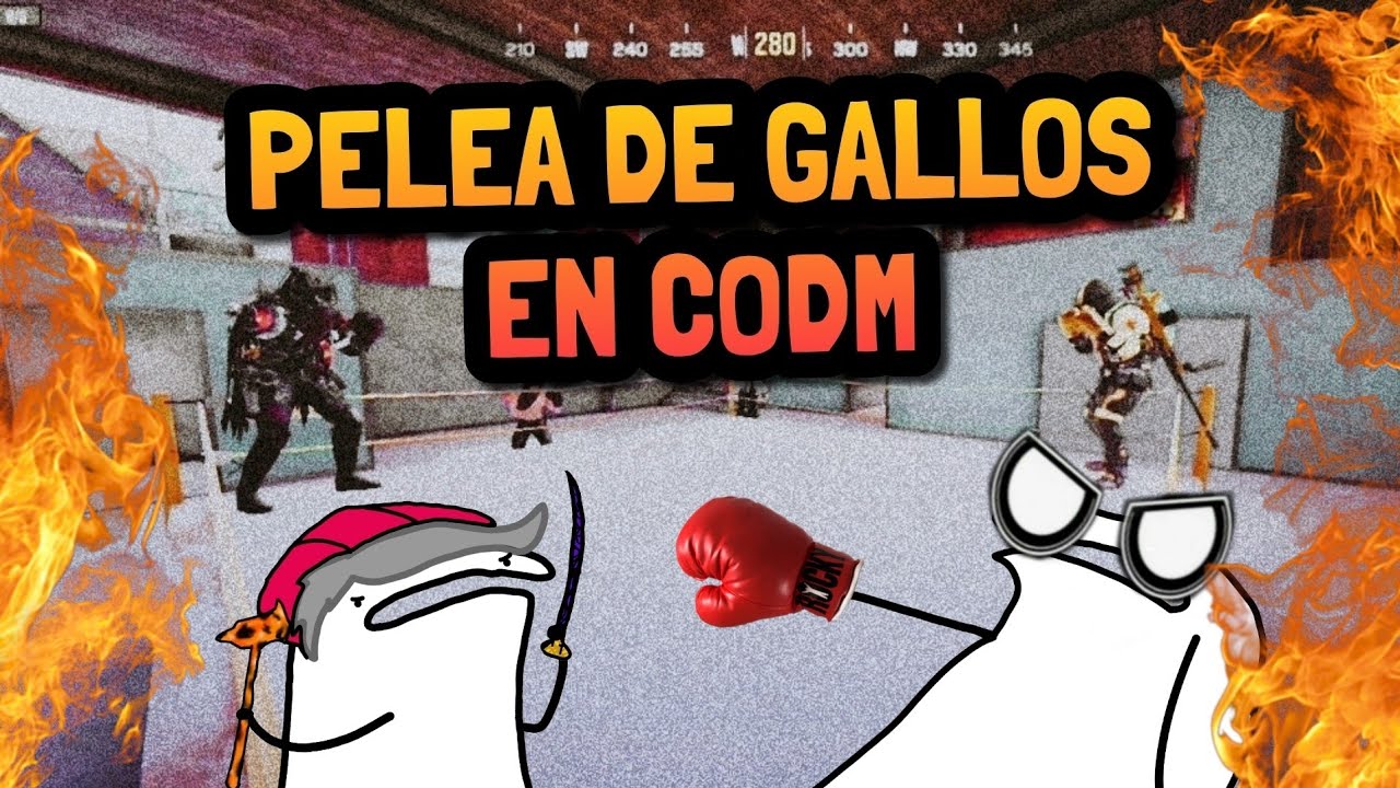 Hice un torneo de boxeo en CODM. (FT. Typhoon)