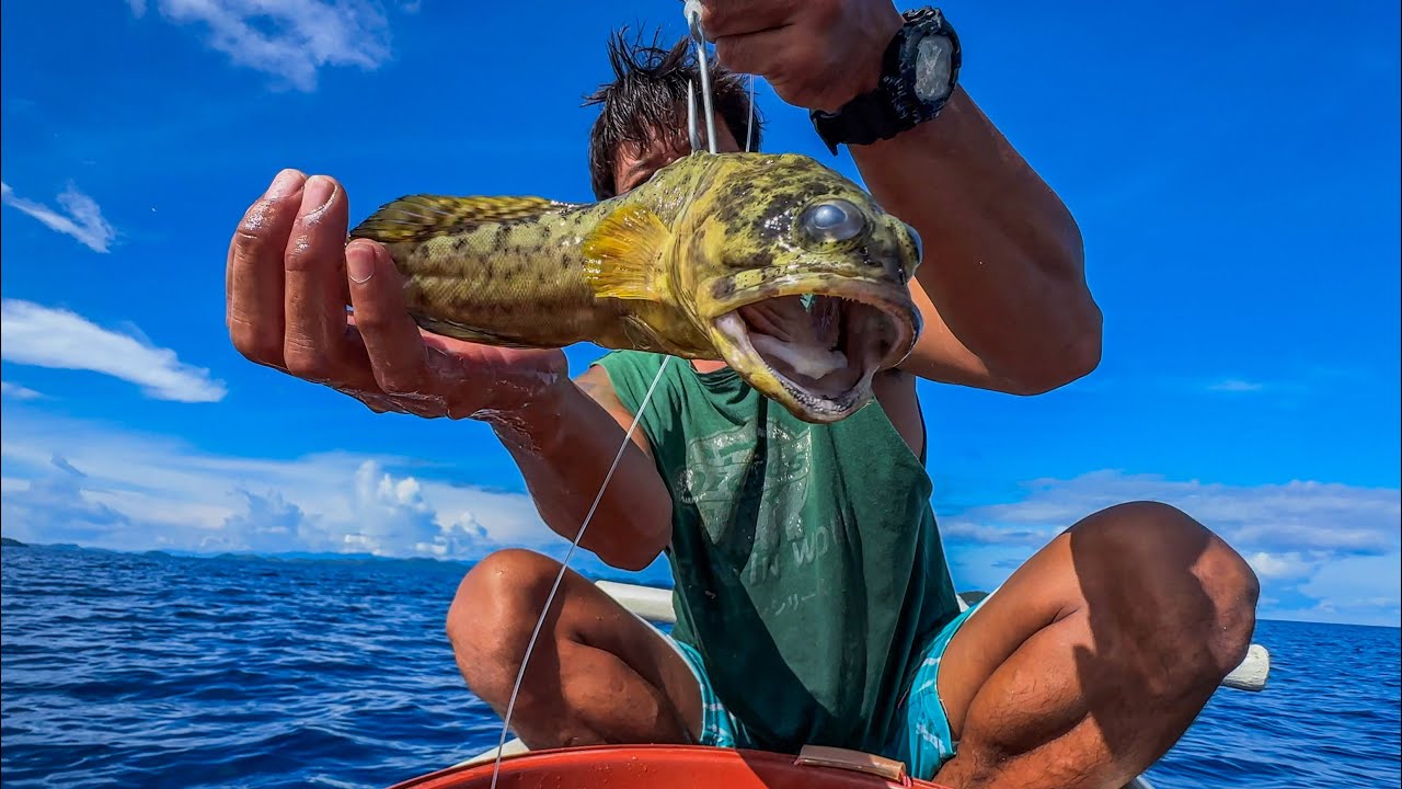 Baby grouper pang pain lang!