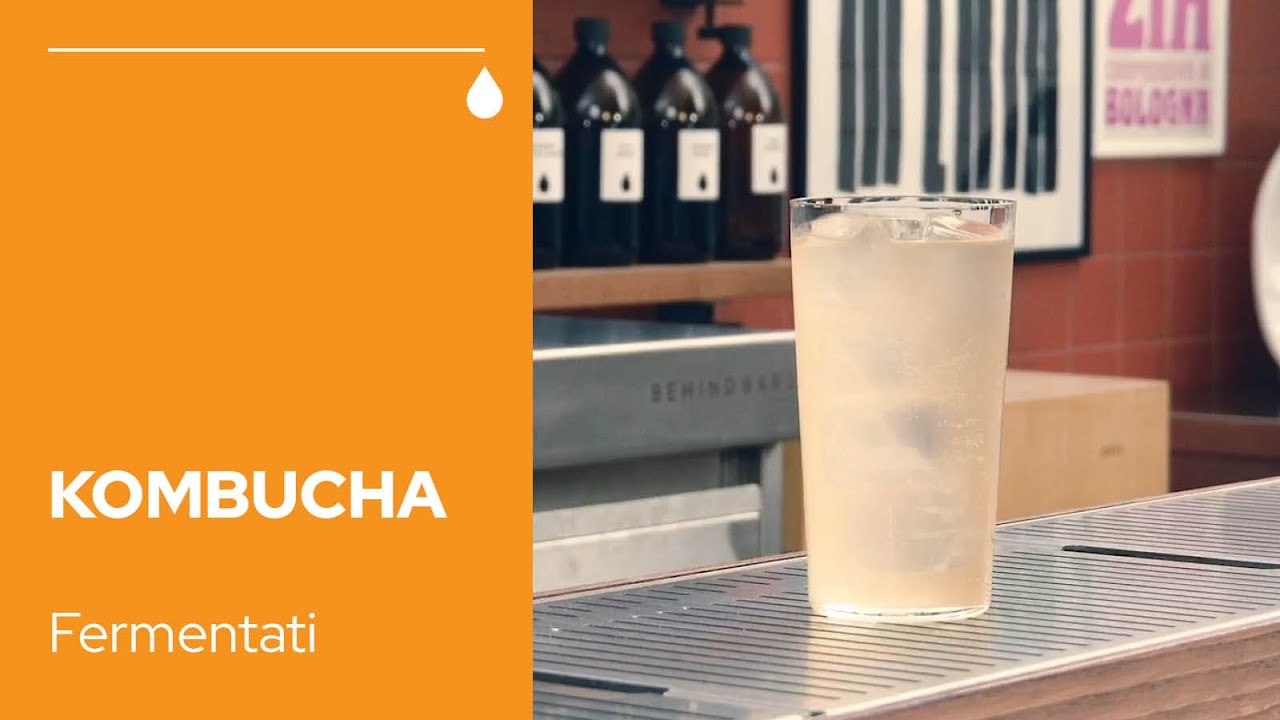 Kombucha: il tè nero zuccherato fermentato grazie a uno SCOBY