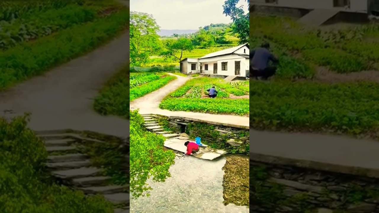 short video #nature voice real feel sound #releax #liferelaxation #relxaing #travel #relxing #relax