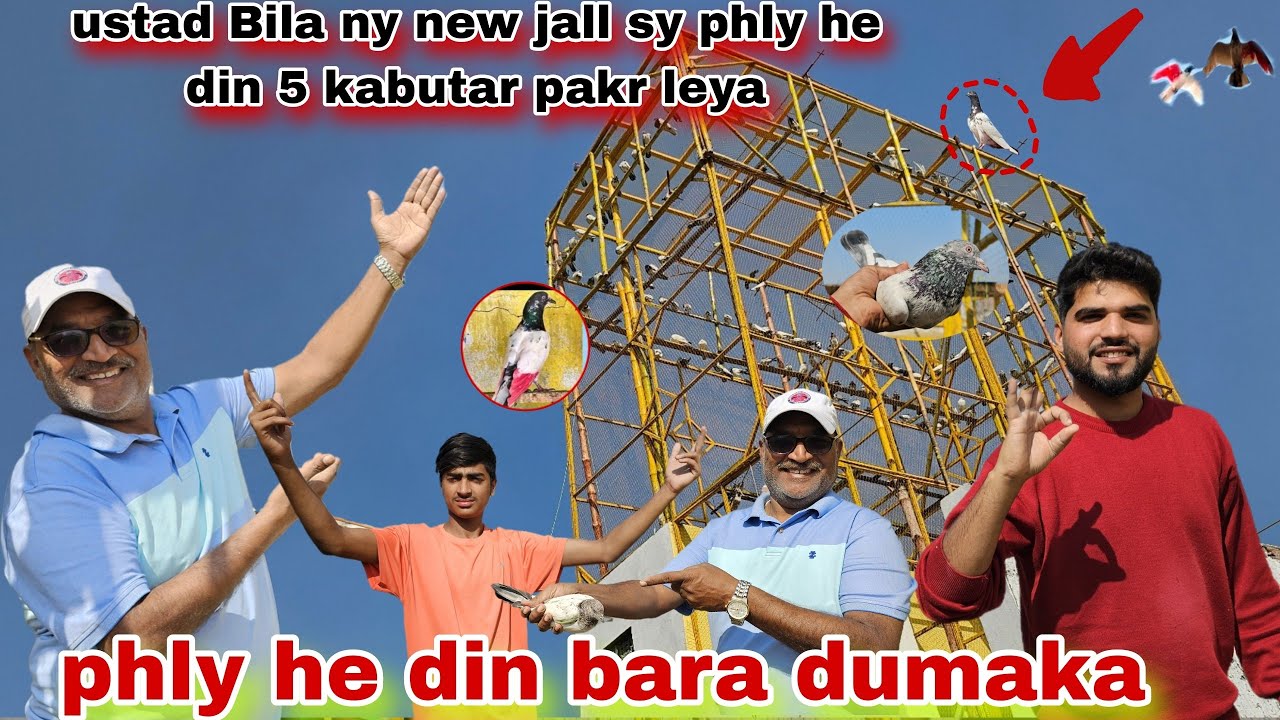 new jall sy aj phly he din 5 kabutar pakar leya😍V I P kabutar ustad Bila ny phly din he damka kia😂