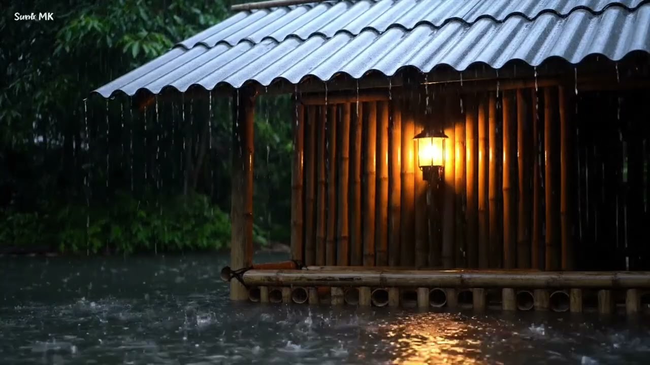 ASMR Rain Sounds in Dense Tropical Forest | Calm & Relax