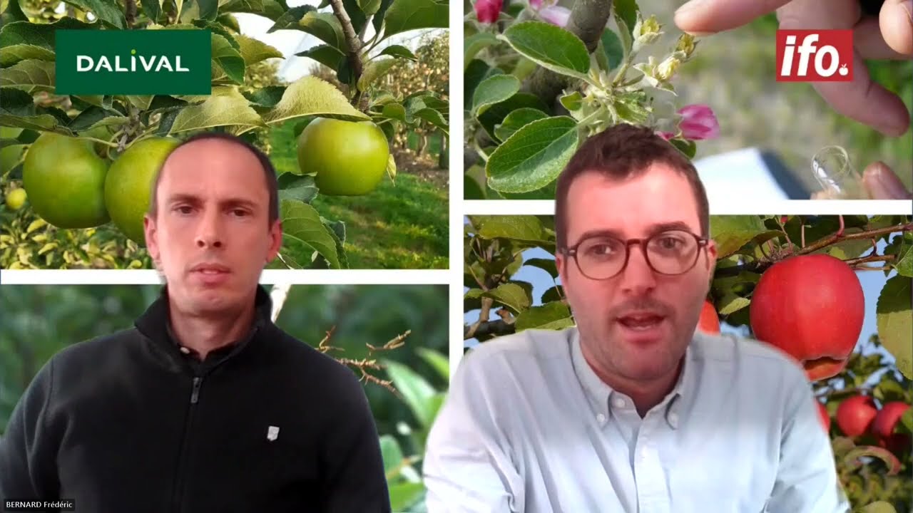 Presentation of the variety Canopy  in English (with subtitles in German, Spanish, Italian & Polish)