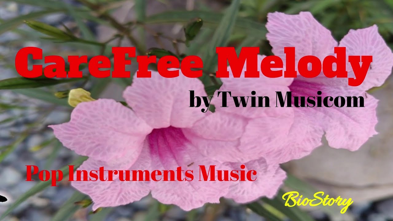 CareFree Melody от Twin Musicom