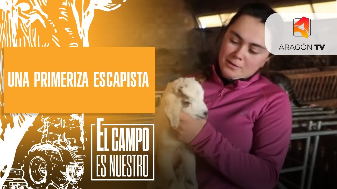 Una primeriza ‘desaboría’ y escapista