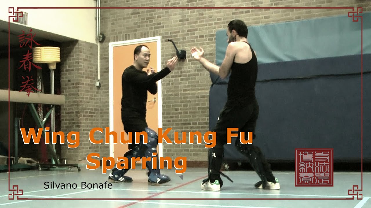 Wing Chun  Sparring,  Rotterdam,  Delft, Alphen aan den Rijn, Gouda, Waddinxveen,