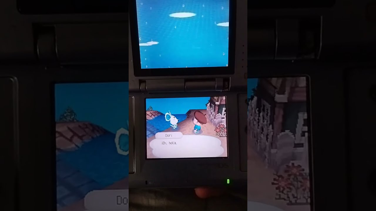Animal Crossing Wild World Cap#9 en directo!!