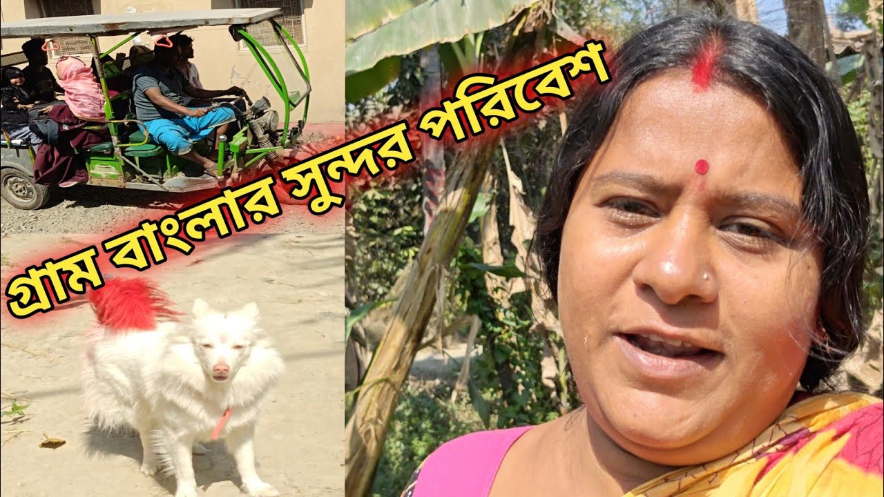 গ্রাম বাংলা সুন্দর পরিবেশ || 🥰 