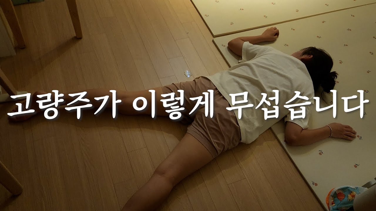 [룡룡부부] 와이프가 사준 고량주를 먹었더니ㅋㅋㅋ | 연태고량주 고추잡채 |