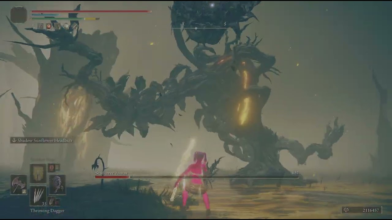 c.Weapons 22 fai/str (Sunflower) no hit