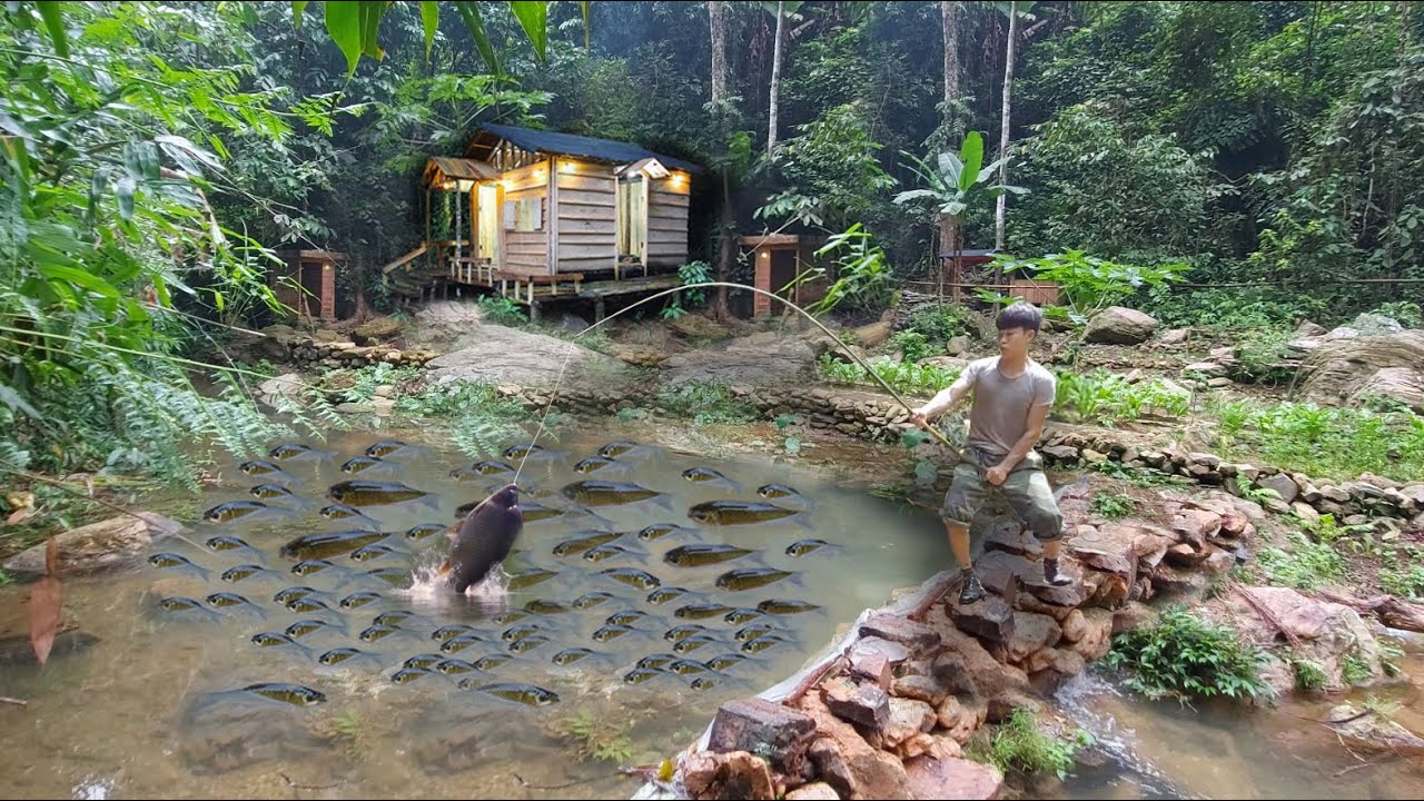 3 года в лесу, копаю пруды, выращиваю рыбу, ловлю рыбу в пруду, продаю. Off grid
