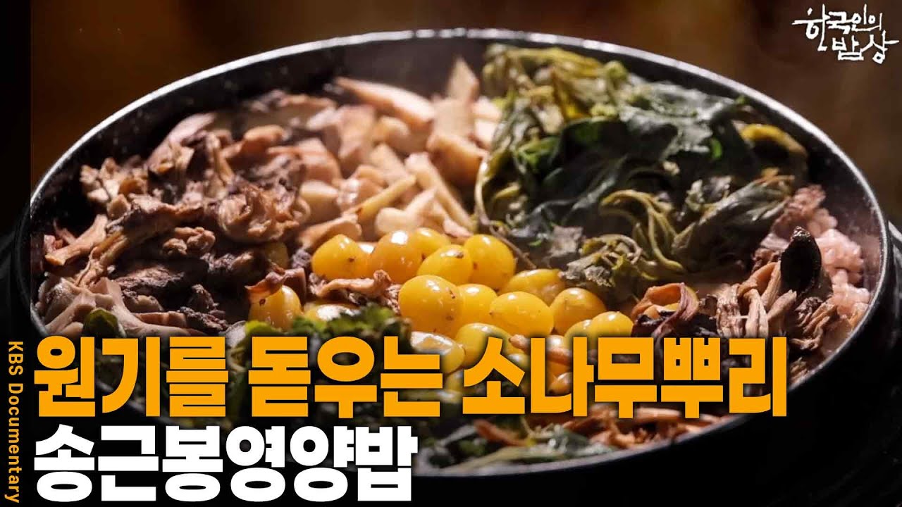 [한국인의 밥상] 원기를 돋우는 동의보감 속 소나무뿌리, ‘송근봉영양밥’ | KBS 260226 방송