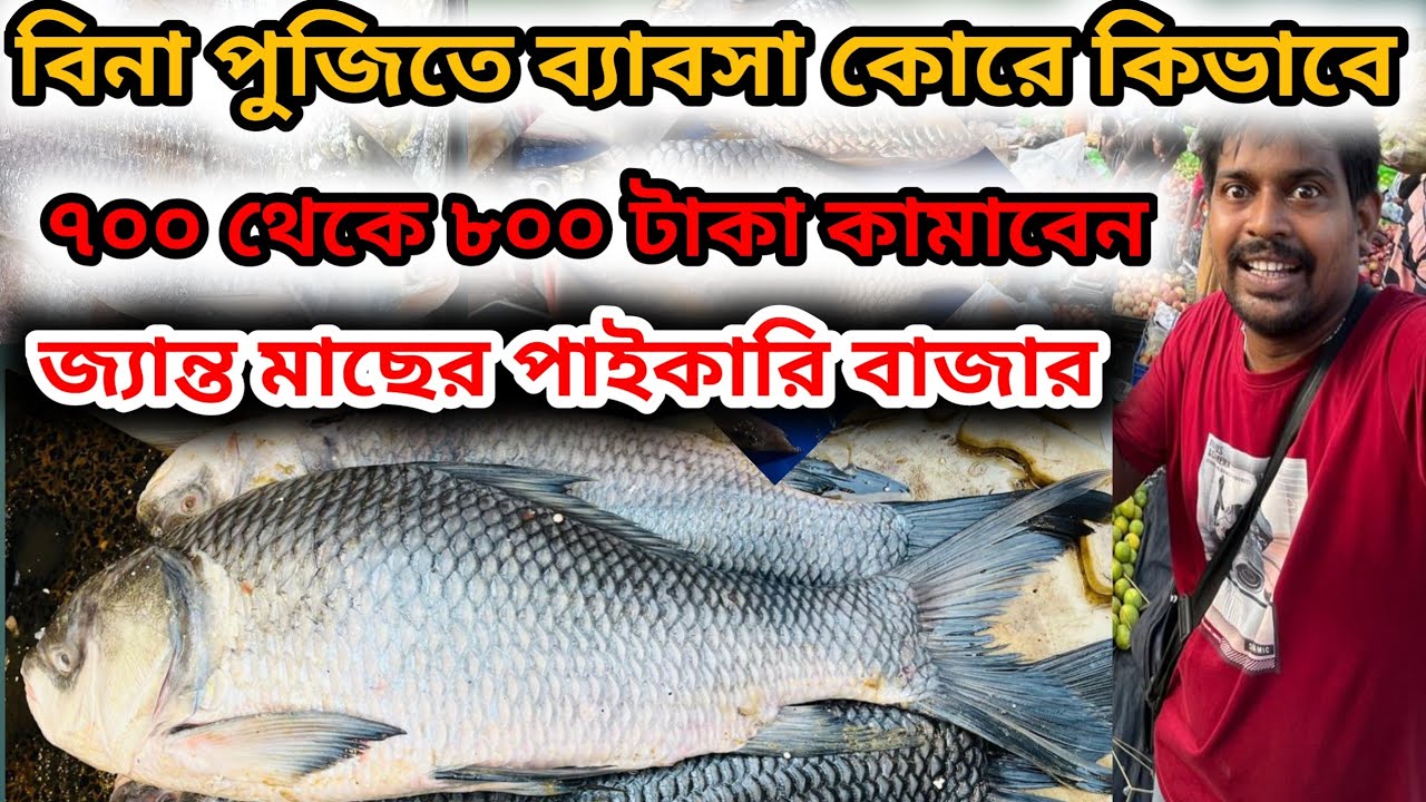 জ্যান্ত মাছের পাইকারি বাজার কিভাবে মাছের ব্যাবসা শুরু করবেন || wholesale fish market #fishmarket  