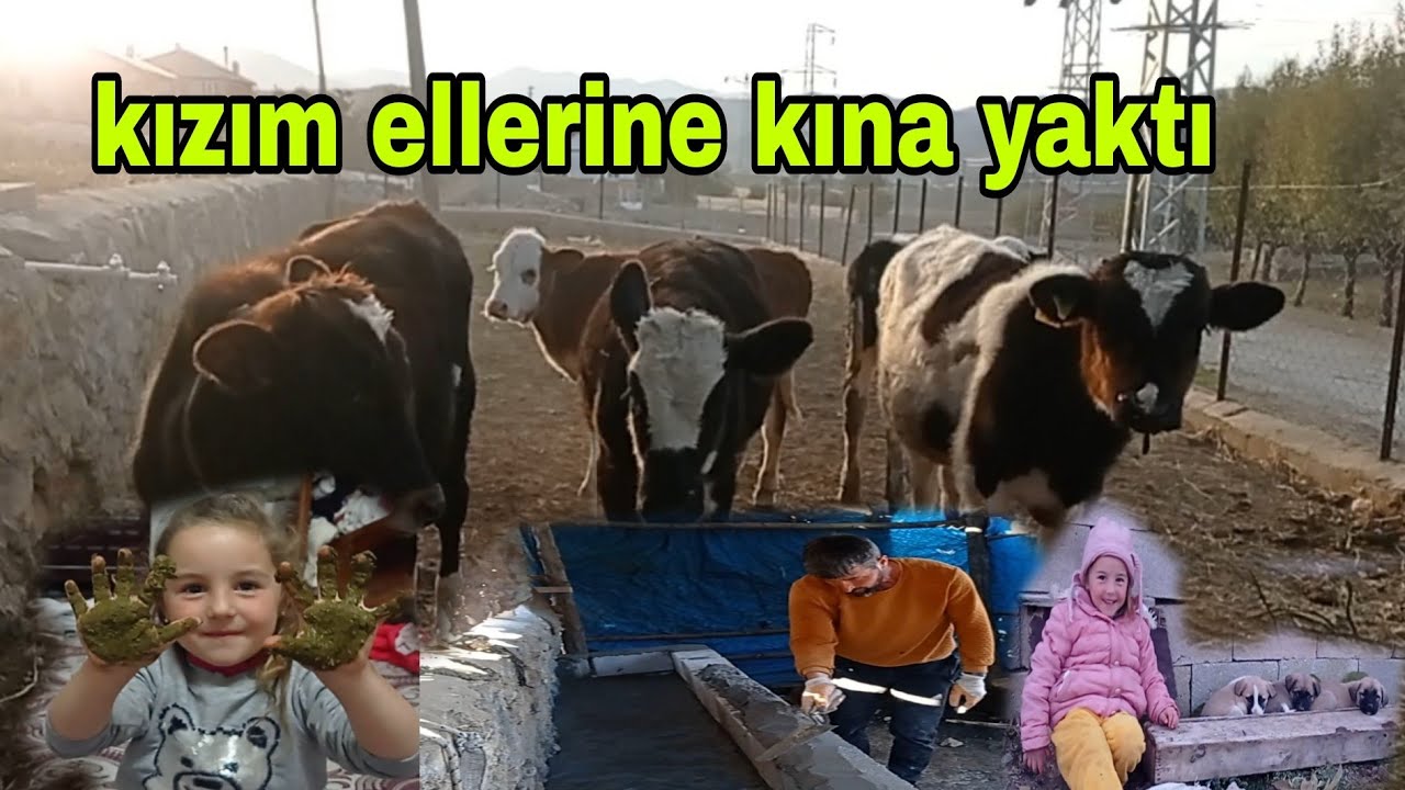 YAYLADA İNEKLER E BATMA YAPTIK KIZIMIN ELLERİNE KINA YAKTIK
