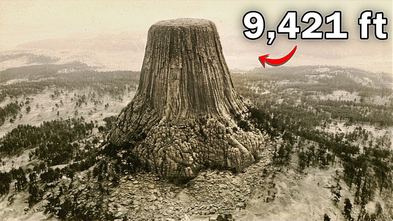 Why They Need You to Think Giant Trees Were Never Real
