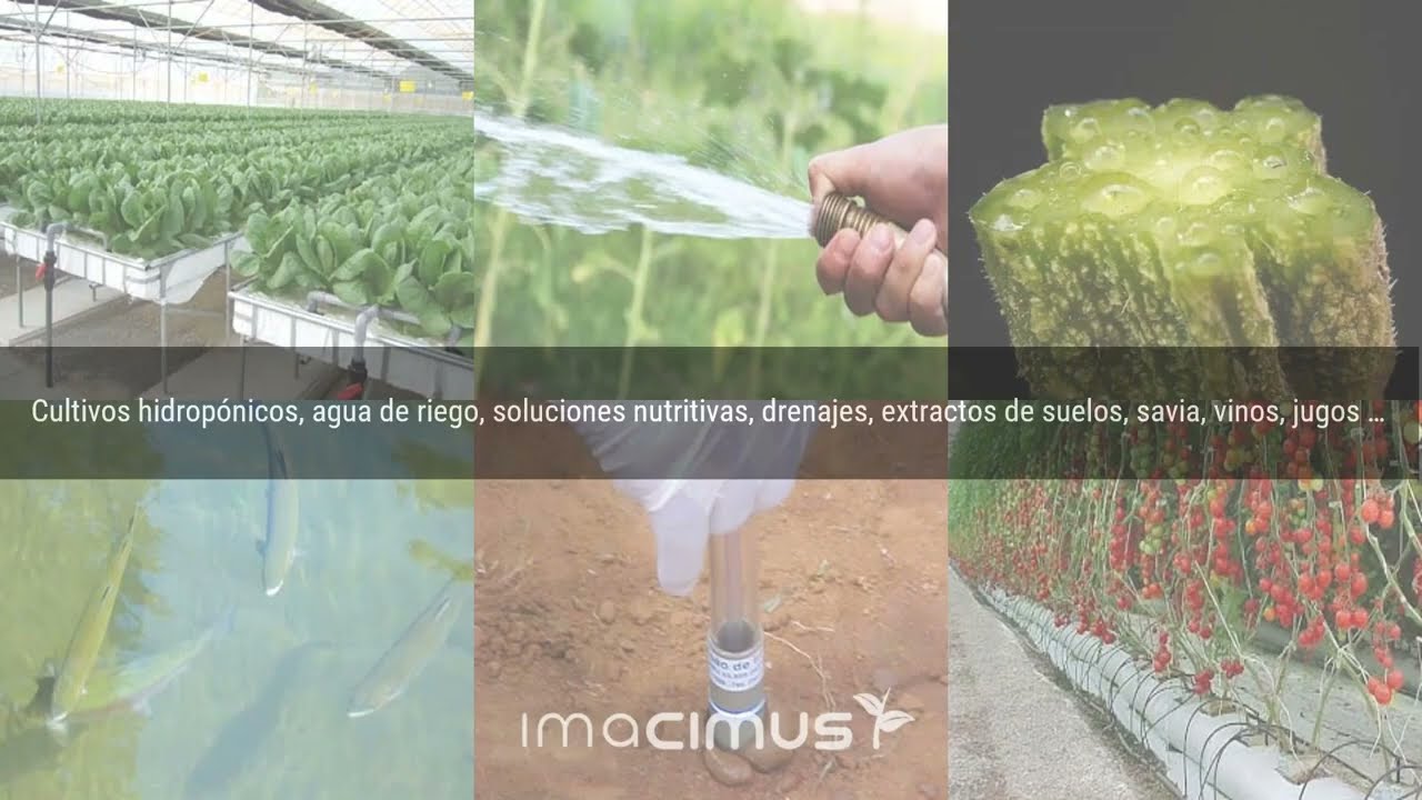 ¡Maximiza la rentabilidad de tus cultivos! con IMACIMUS 10