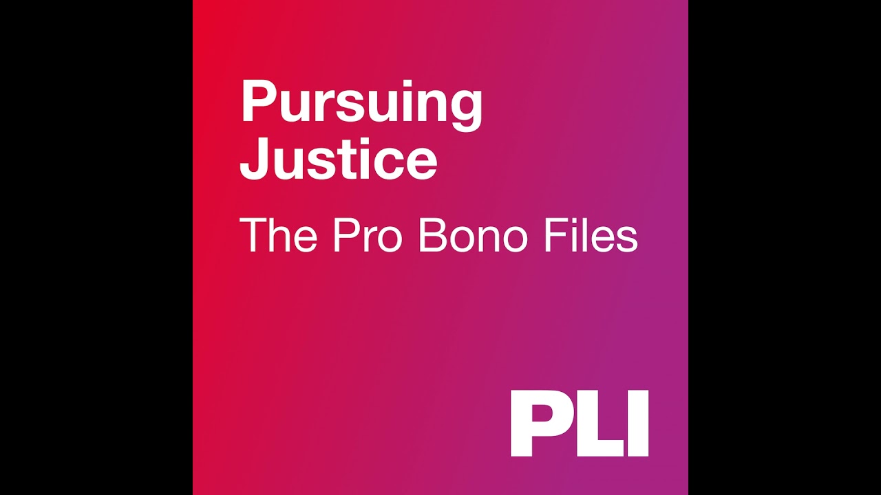 Defending Constitutional Rights Pro Bono