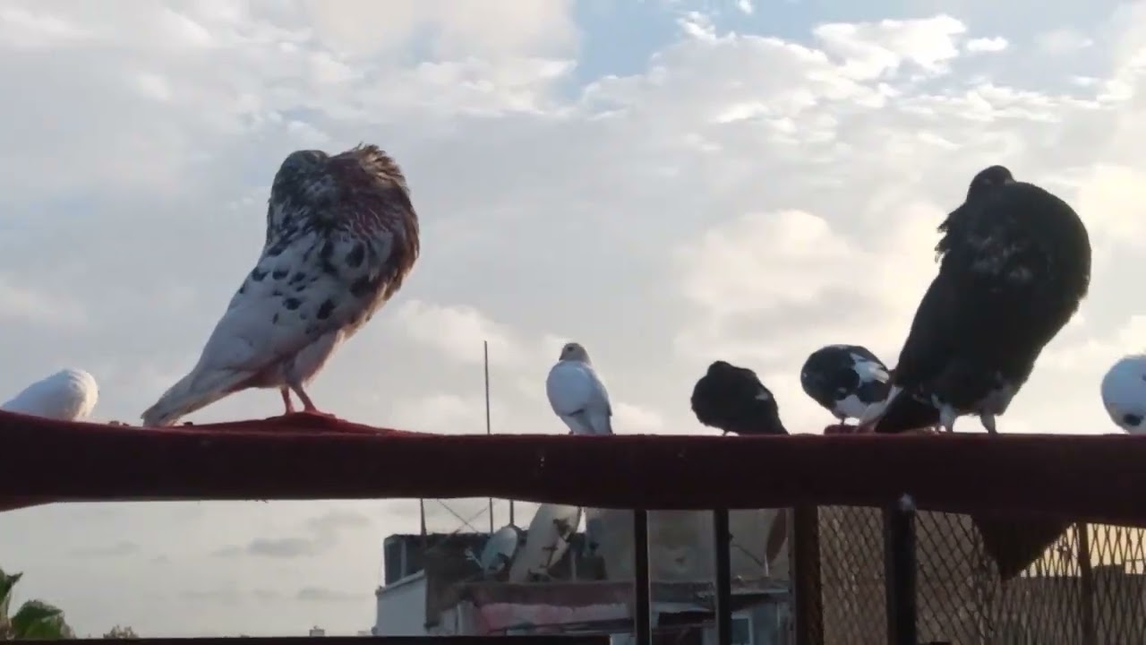 سنة هجرية سعيدة عافية+تقوى الله
