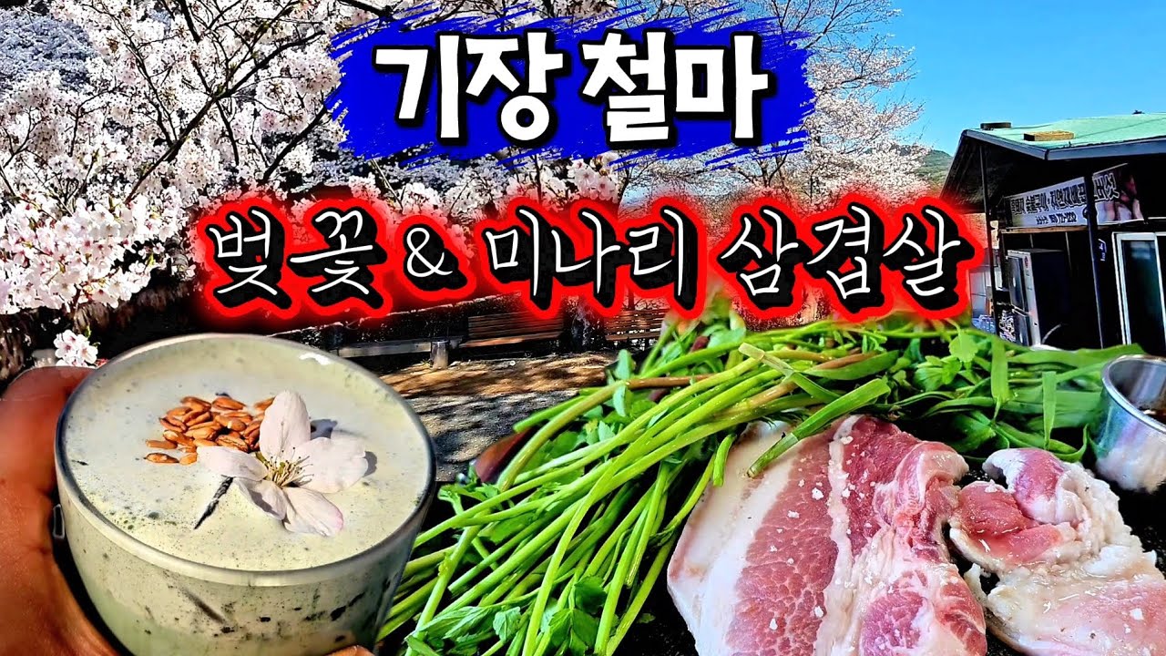 완벽한 기장 철마 현지인 추천 코스 2곳