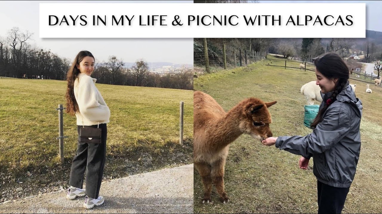 Days in my life | vlog: sightseeing in Vienna & seeing alpacas