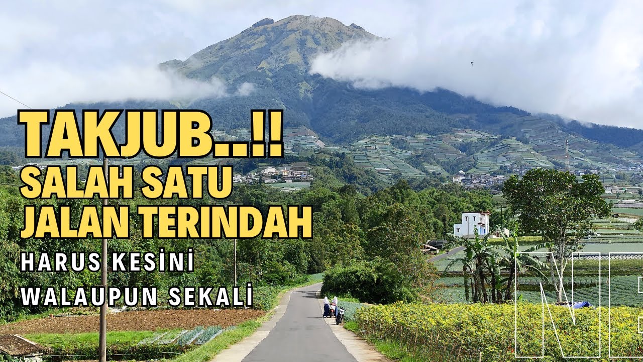 LUAR BIASA!! SALAH SATU JALAN TERINDAH DI JAWA | Perjalanan ke Negeri Sayur Sukomakmur Magelang