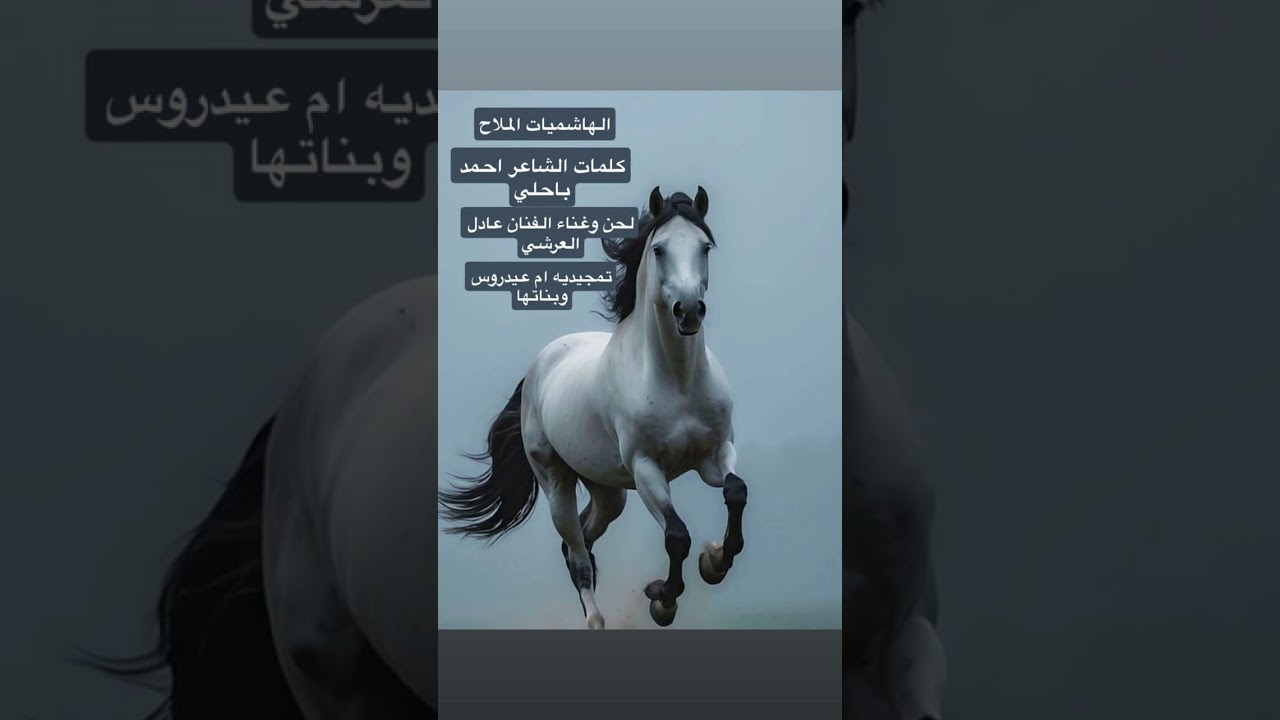 الهاشميات الملاح / اداء الفنان  عادل العرشي