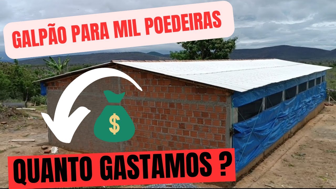 Quantos reais gastamos para construir Nosso galpão novo para mil galinhas poedeiras?