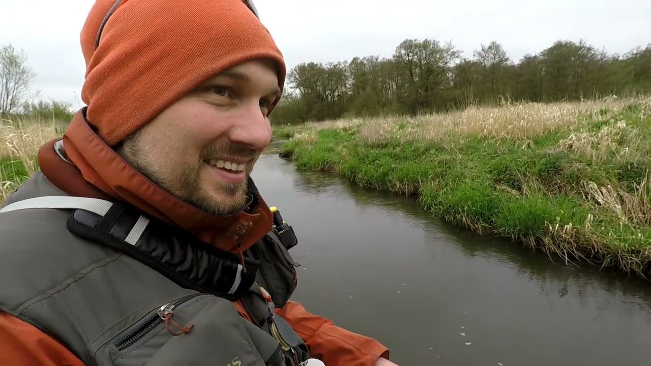 Small river, hungry brown trout. 