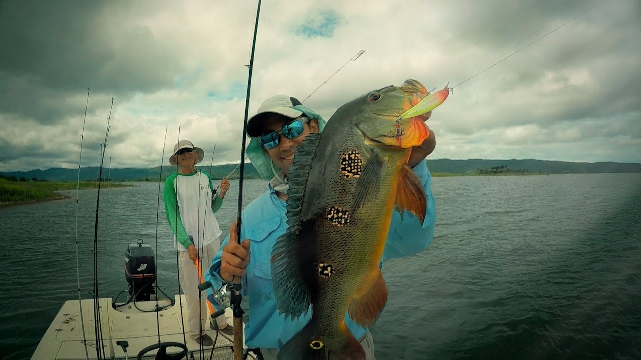 Pesca de Pavón en Rio Verde ,Guarico-venezuela