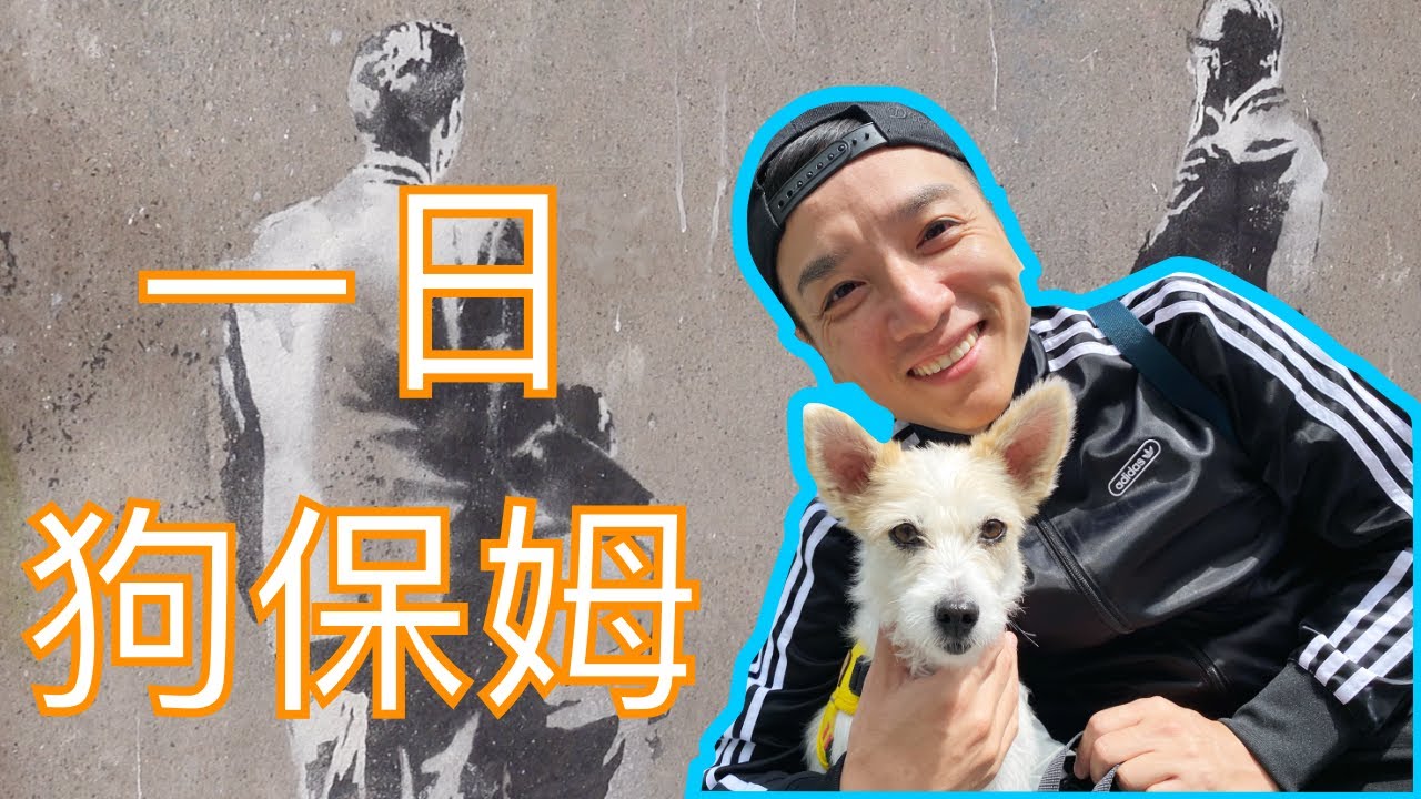 遛狗發現多倫多也有Banksy塗鴉 Dog sitting day