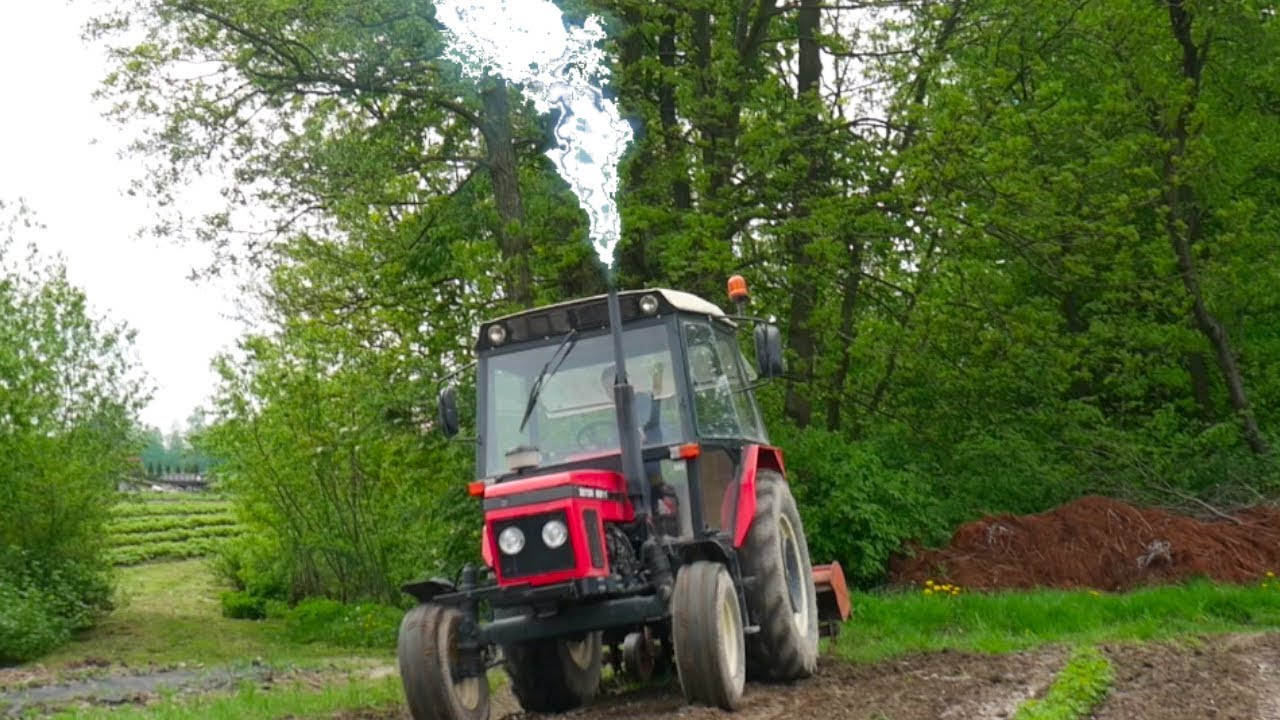 Łogiń na tłoki !!! | Wiosenne prace 2019 | Zetor 6211 |