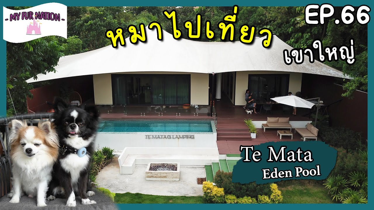 EP.66 - หมาไปเที่ยว | รีวิว Te Mata Eden Pool เขาใหญ่ Glamping ที่สัตว์เลี้ยงพักฟรี แถมมี Butler