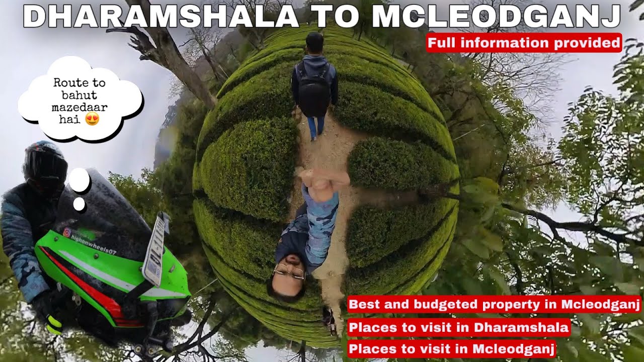 McLeodGanj Budget Trip | Long Ride on ZX10R 2023| McLeodGanj Dharamshala famous spots #mcleodganj