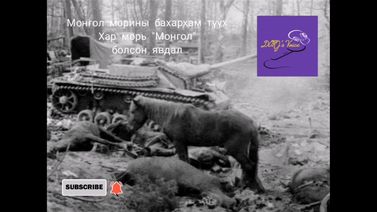 Монгол морины бахархам түүх Хар морь 