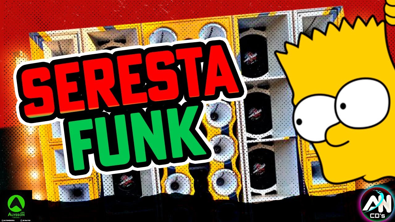 SERESTA FUNK 2025 AS MAIS TOCADAS TIKTOK - MÚSICAS SERESTA PRA PAREDÃO AS MELHORES - DJ BIT NO BEAT